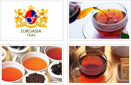 Euro Asia Corporation